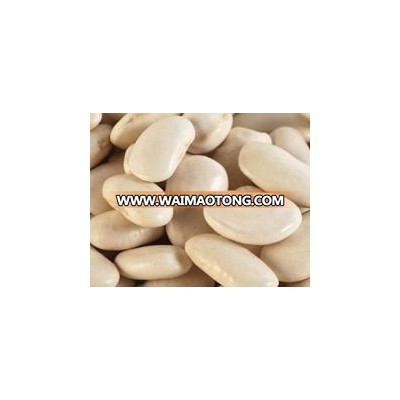 Fresh/ Dried Frozen Lima Beans/Large Lima Beans/White Lima Bean