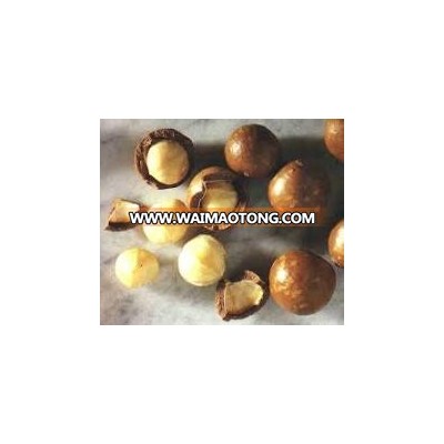 Macadamia Nuts/ Shell and Unshell Macadamia Nuts/Whole Raw Macadamia Nuts