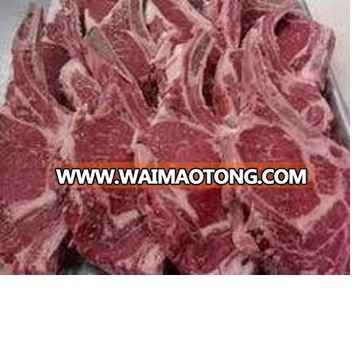 Camel Meat +Frozen Halal Camel Meat +boneless camel blade