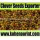 Quality Kohenoor Persian Clover Seed Exporter